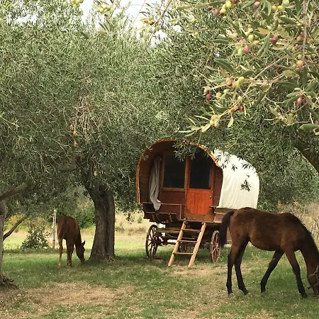 Le Camping De Cucugnan Exterior photo