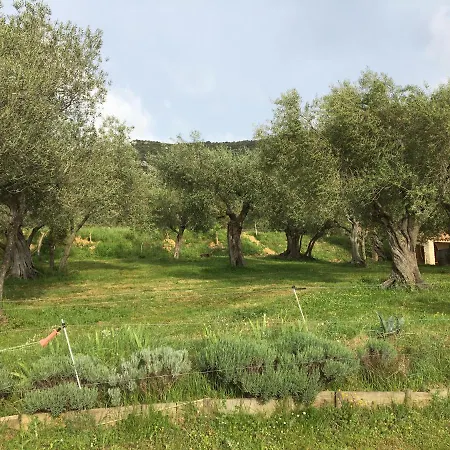 Le Camping De Cucugnan Exterior photo