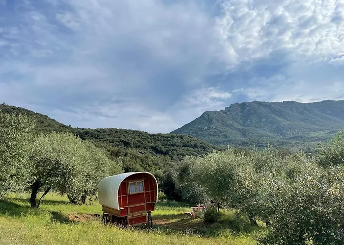 Le Camping De Cucugnan