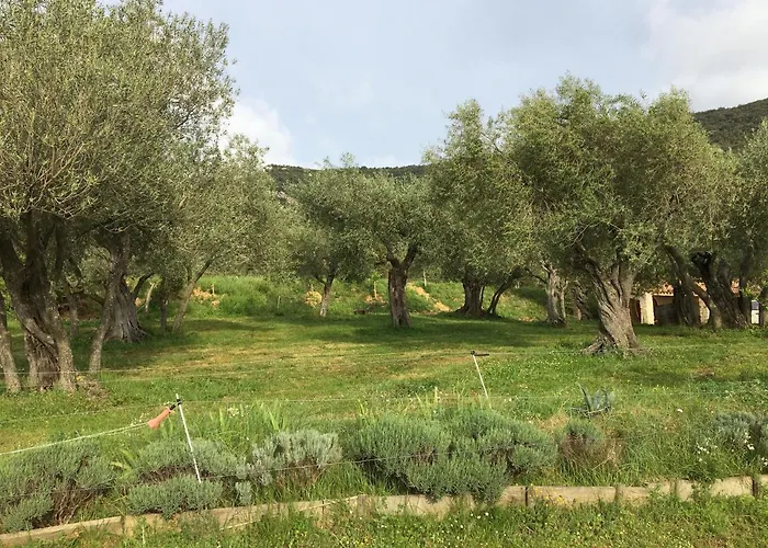 Le Camping De Cucugnan