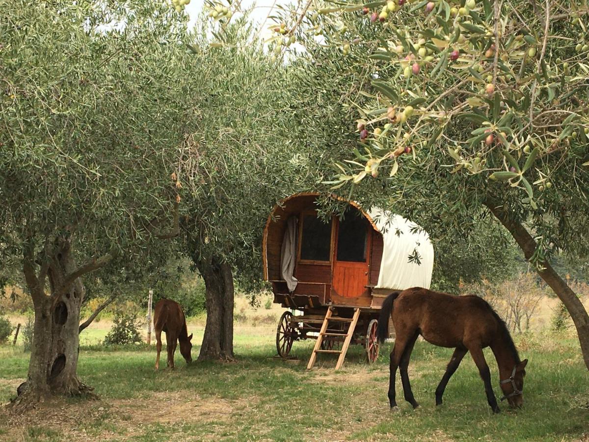 Le De Campsite